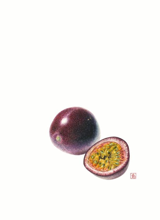Fruit de la passion passiflora edulis,2024 Fruit de la passion passiflora edulis, 2024